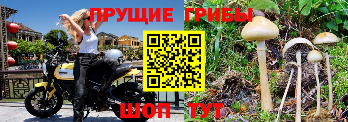 Бугуруслан  Галлюциногенные грибы MAGIC MUSHROOMS  закладка  Вход с VPN 